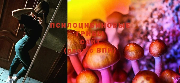 ПСИЛОЦИБИНОВЫЕ ГРИБЫ Кинешма