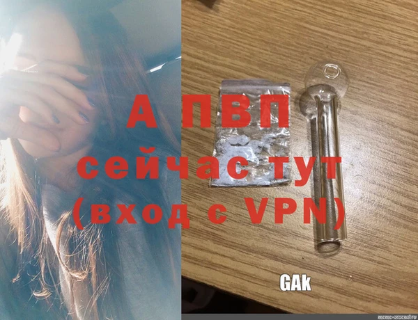 ПСИЛОЦИБИНОВЫЕ ГРИБЫ Кинешма